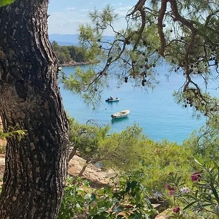 Apartament By The Sea Basina, Hvar - 542 Vrbanj